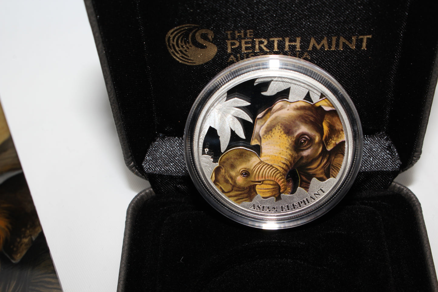 2014 Tuvalu Mother's Love Asian Elephant 1/2oz Silver Proof Coin