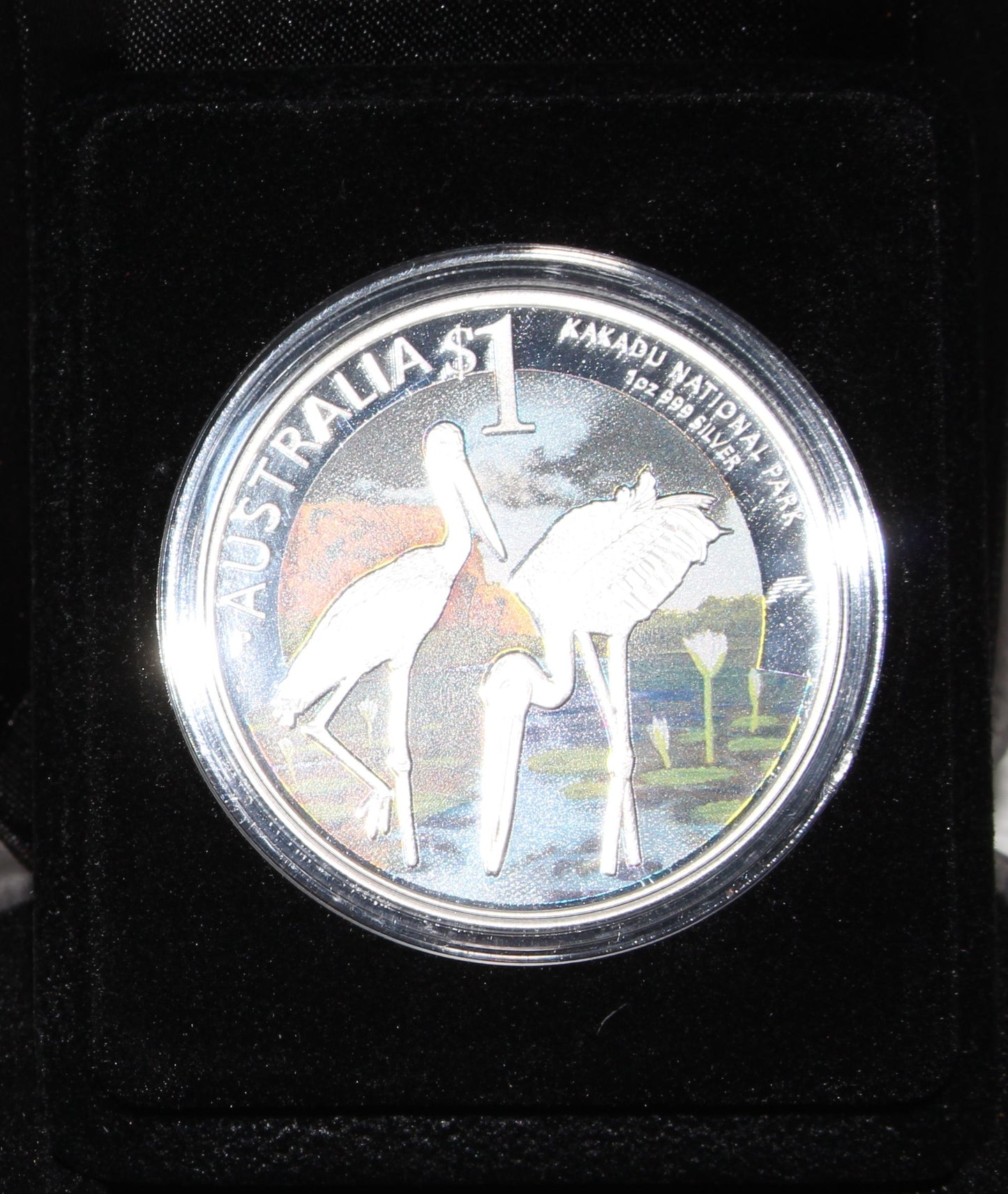 AUSTRALIA 1 Dollar 2013 Silver 1oz. Proof 'Black Storks - Kakadu National Park'