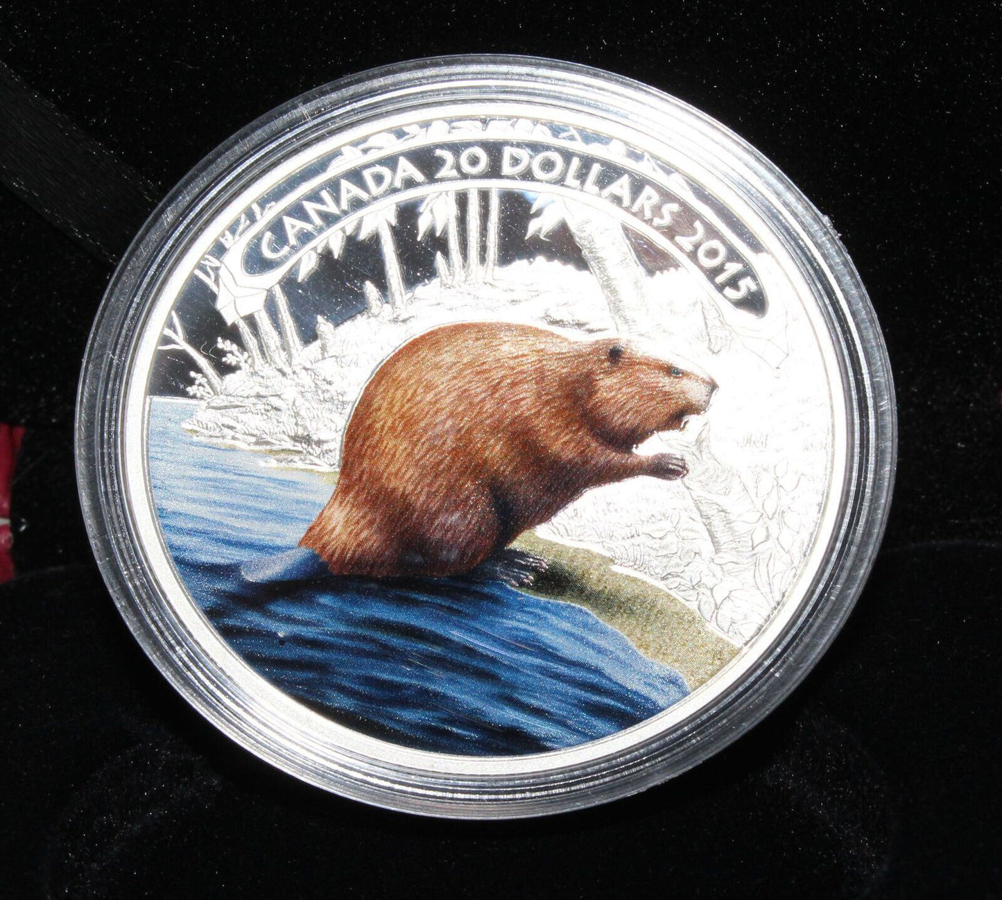 2015 Canada Silver 1 Oz 999 Beaver at Work $20 Proof Colored Coin