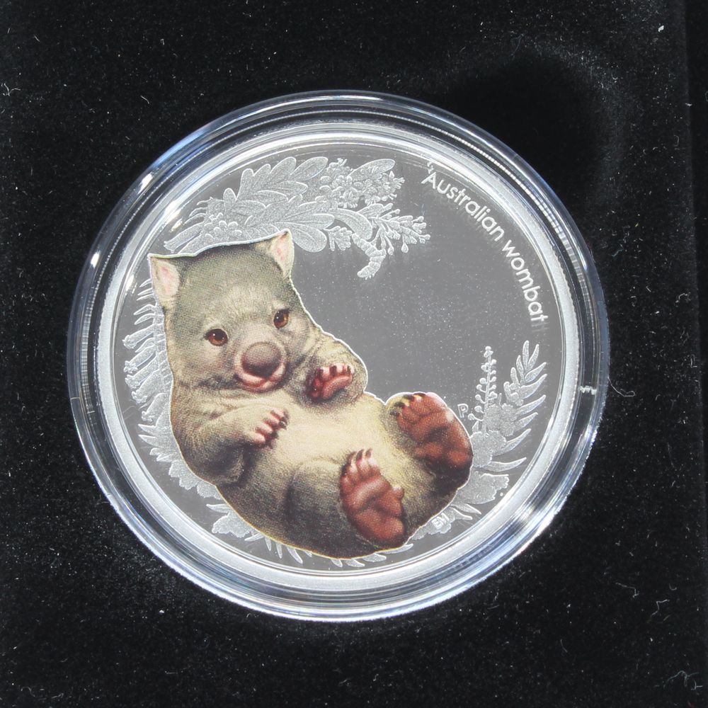 Australia 2013 Bush Babies II Wombat 1/2 Oz 50 Cents Silver Proof Coin