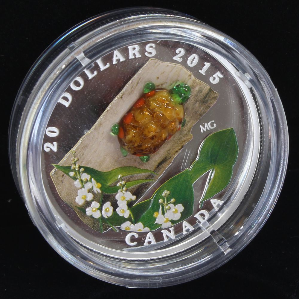 2015 Canada $20 Venetian Glass Turtle Broadleaf Arrowhead Flower 1oz Silver Coin