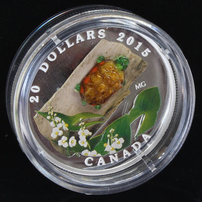 2015 Canada $20 Venetian Glass Turtle Broadleaf Arrowhead Flower 1oz Silver Coin