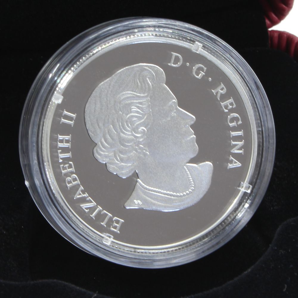 2015 Canada $20 Venetian Glass Turtle Broadleaf Arrowhead Flower 1oz Silver Coin