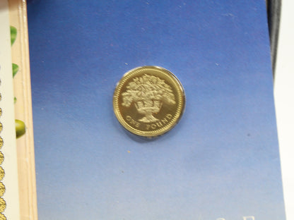 1987 & 1996 United Kingdom 1 Pound & 2 Pounds Coin on Card