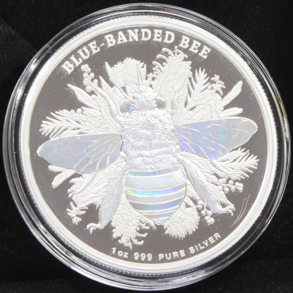 2025 Niue $2 Australian Native Bees 1Oz Silver Proof Hologram Coin