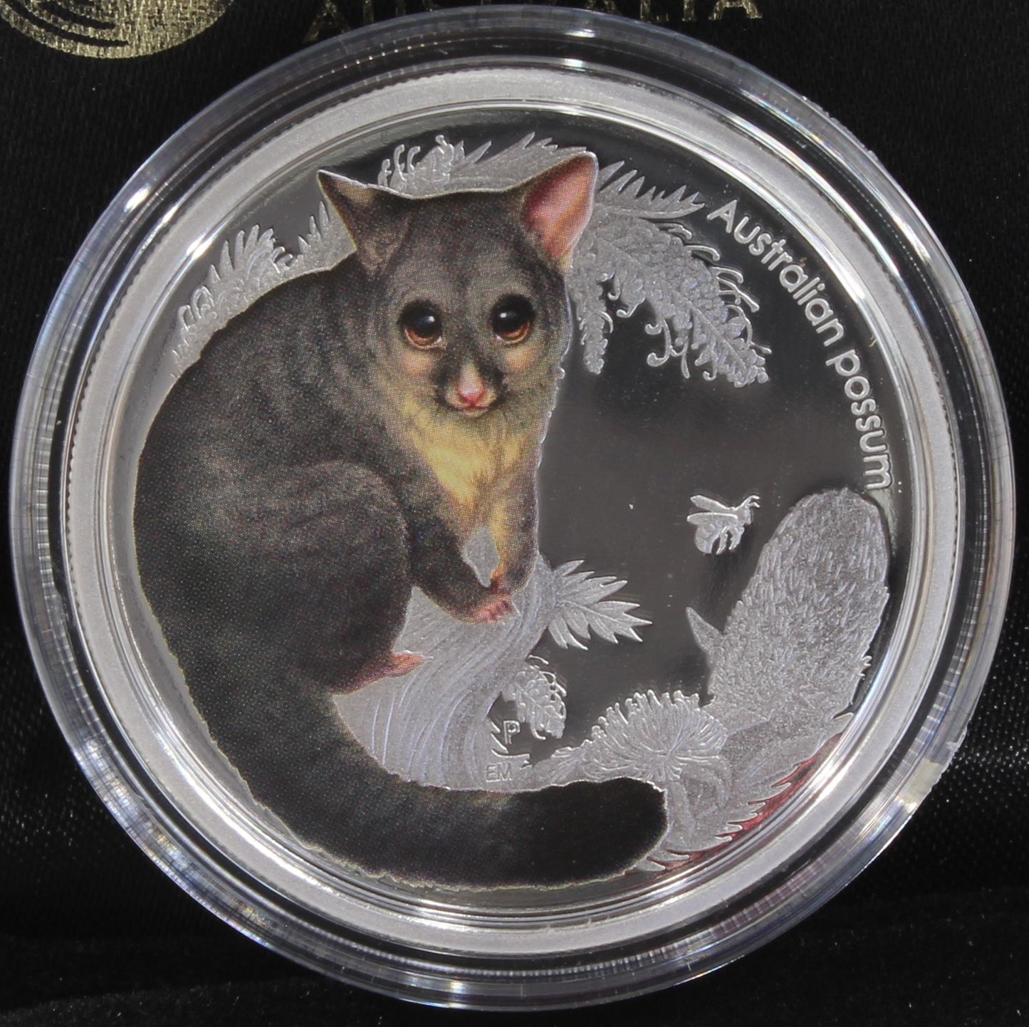 2013 Australia 50 Cent Bush Babies II Possum  1/2 Oz Silver Proof Coin