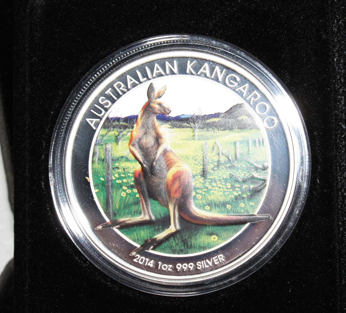 2014 KANGAROO Berlin Show World Money Fair 1oz Silver Coloured Coin - Perth Mint