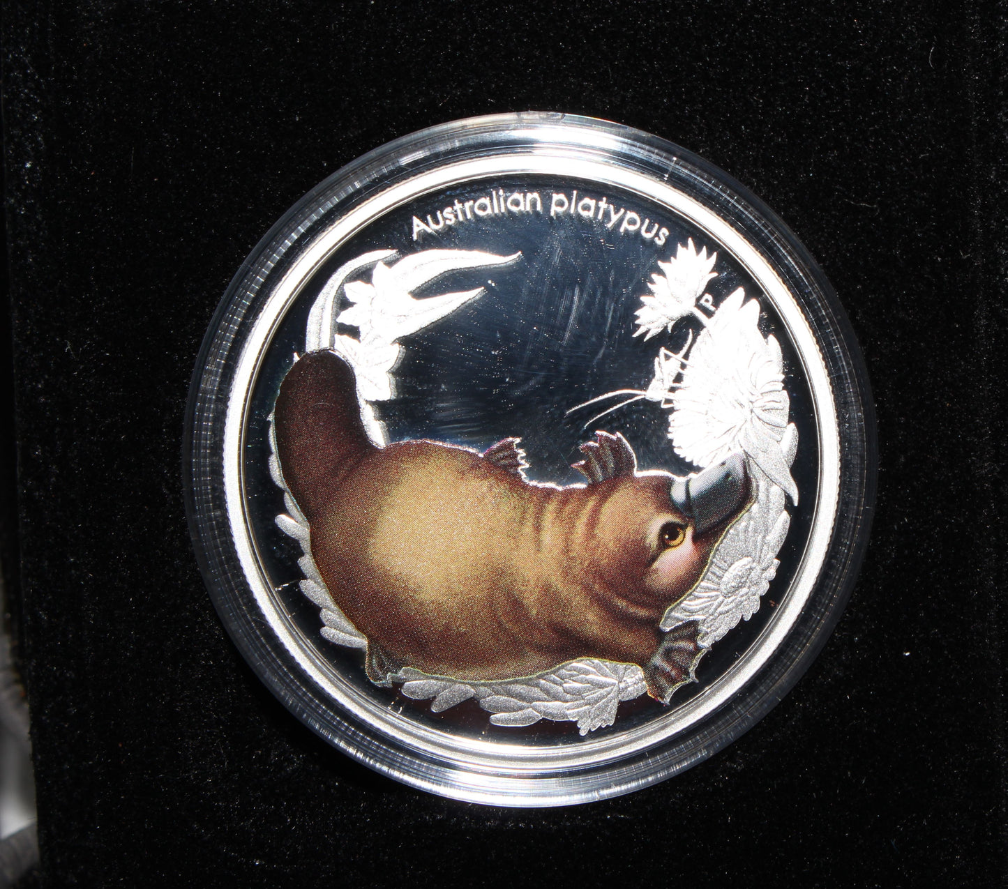 2013 50c Australian Bush Babies Series 2 "Platypus" 1/2 oz Silver Proof Coin