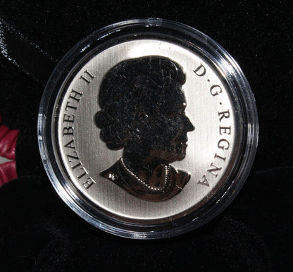 2014 Canada Birds Eastern Meadowlark 25 Cent Colored Coin