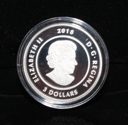 2018 Canada Silver 999 Thirteen Teachings Falling Leaves Moon $3 Colored Coin