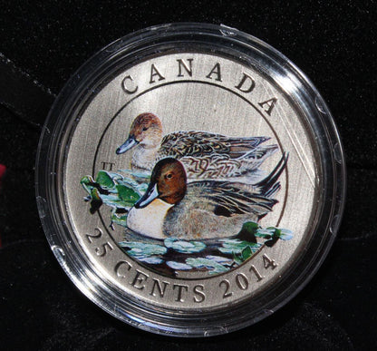 2014 Canada Birds The Pintail Duck 25 Cent Colored Coin