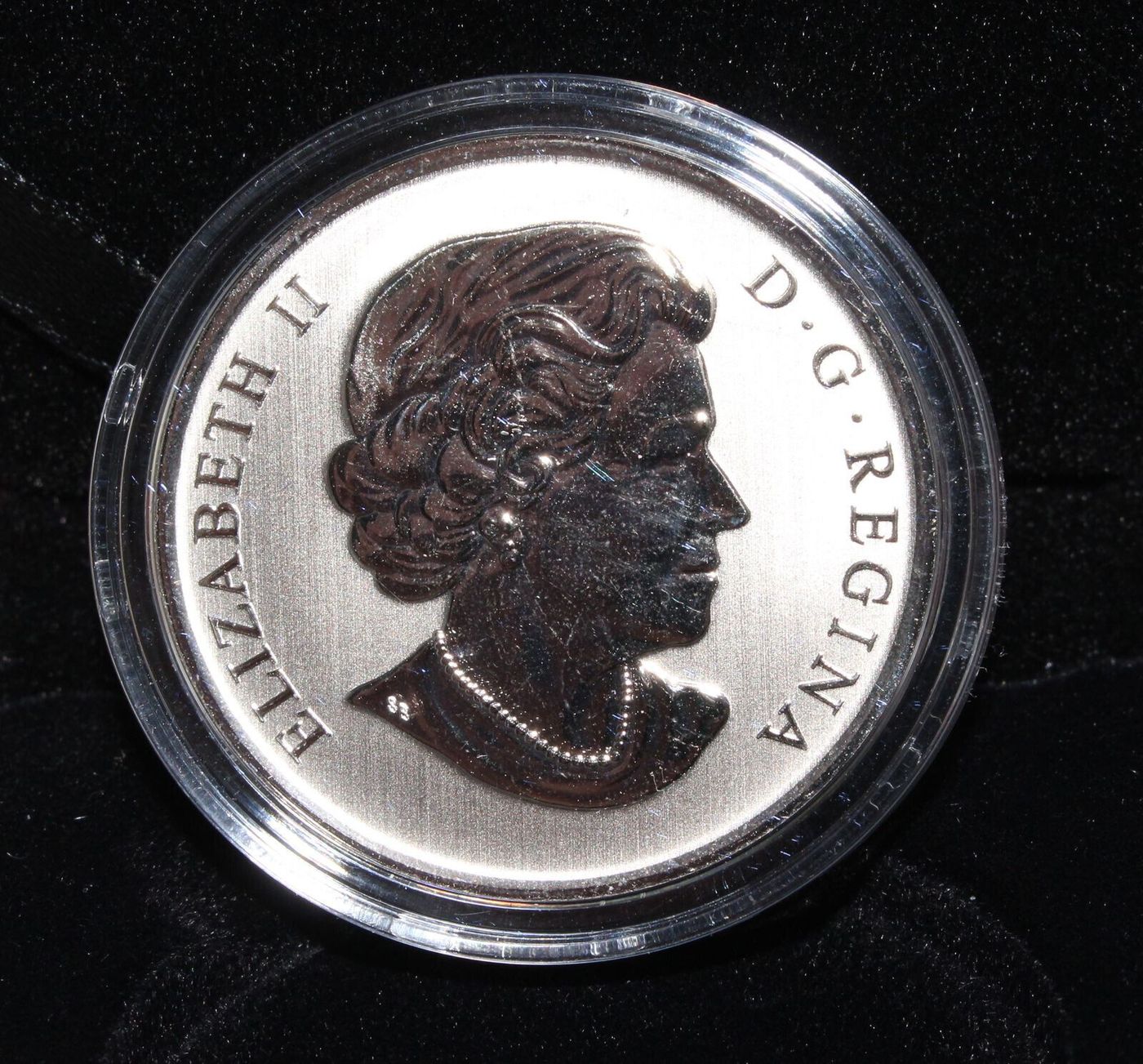 2014 Canada Birds The Pintail Duck 25 Cent Colored Coin