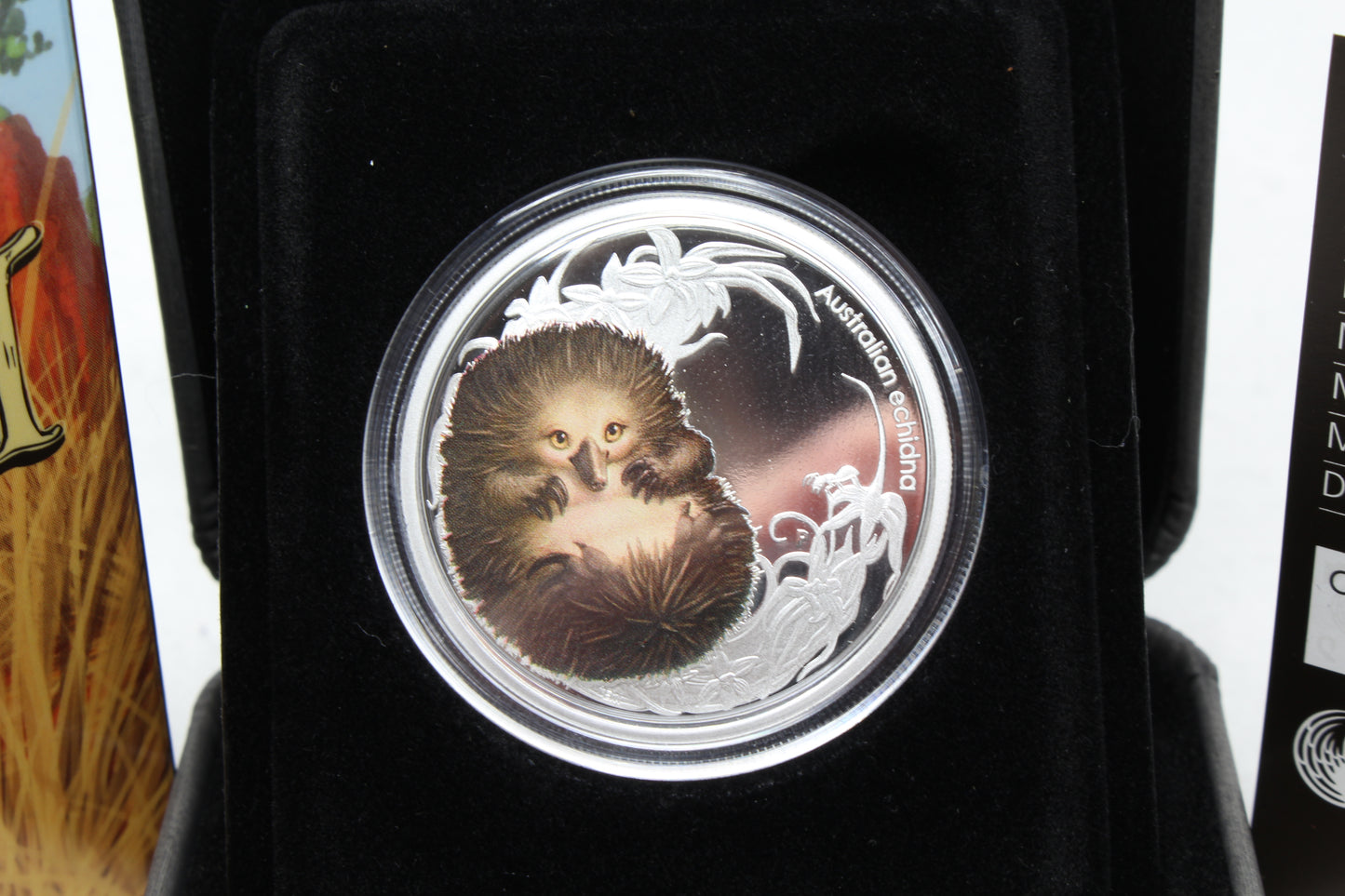 2013 Australia Bush Babies Series II Echidna 1/2oz 50c Silver Proof Coin